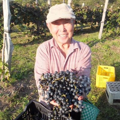 【数量限定】山ぶどうジュースと山ぶどうジャムセット 1030001