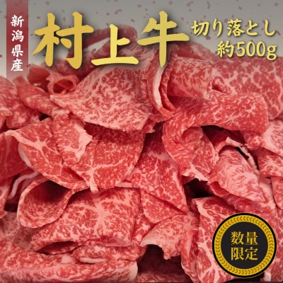 【数量限定】【訳あり】簡易包装 村上牛切り落とし500g 1031010