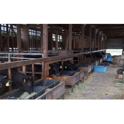 村上牛モモスライス 約400g　1031011