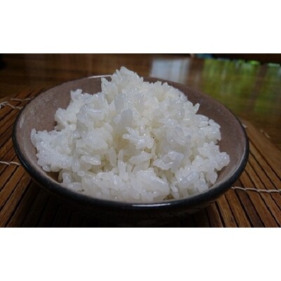 【令和6年産米】 新之助5kg・朝日あいじょう米5kgセットNB4033