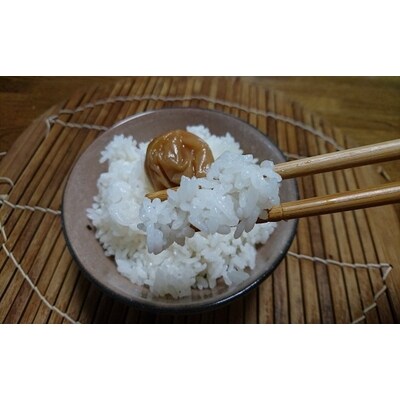【令和6年産米】新潟産コシヒカリ5kg・朝日あいじょう米スティック NA4128