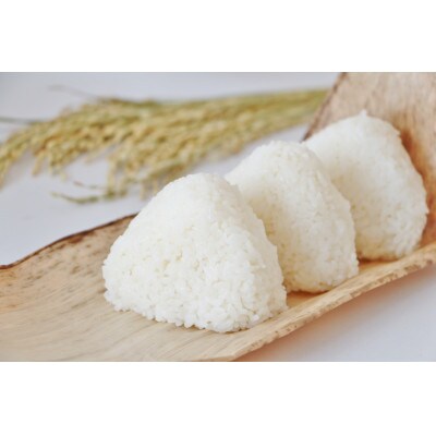 【令和6年産米】 新潟県産 こしいぶき 精米 5kg×2袋(計10kg)