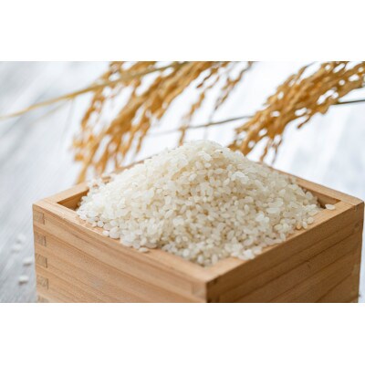 【令和6年産米】 新潟県産 こしいぶき 精米 5kg×2袋(計10kg)