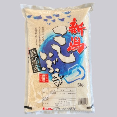 新米【令和7年産米】新潟県村上市産 こしいぶき 5kg×1袋 精米 1033003