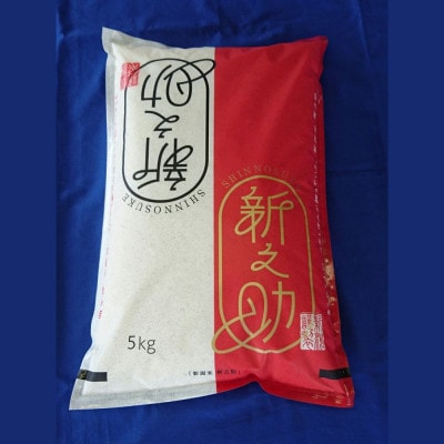 【令和7年産米】新潟県村上市 新之助5kg(精米) 1033005
