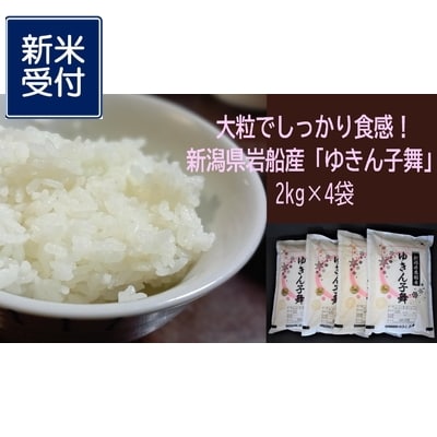 【新米受付・令和7年産米】大粒でしっかり食感　新潟県岩船産　ゆきん子舞8kg NA4099