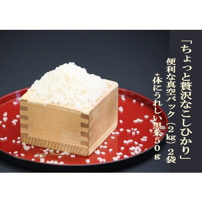 【令和6年産米】新潟県岩船産 特別栽培米こしひかり4kg&古代米50gセット A4170