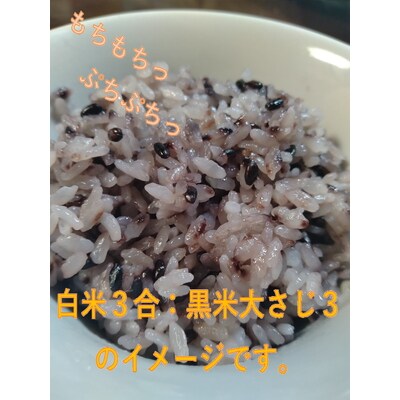 【令和6年産米】新潟県岩船産 特別栽培米こしひかり4kg&古代米50gセット A4170