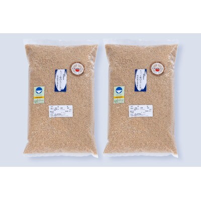【令和6年産米】新潟岩船産 特別栽培コシヒカリ 玄米 10kg(5Kg×2袋 )B4125