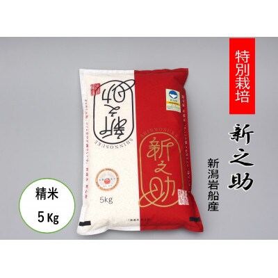 【令和6年産米】食味鑑定士いたがき謹製　新潟県岩船産特別栽培「新之助・白米5kg」