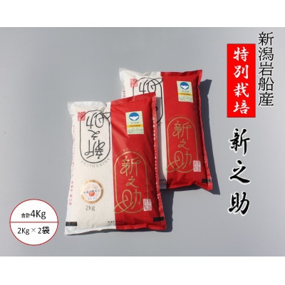 【令和6年産】新潟県岩船産　新之助　食味鑑定士謹製　特別栽培米　白米4kg(2kg×2)