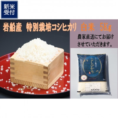 【新米受付・令和8年産米】新潟県村上市岩船産 特別栽培米 ちょっと贅沢なコシヒカリ 5kg 047N