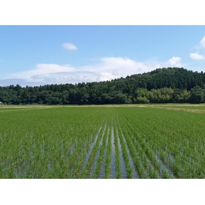 【新米受付・令和8年産米】新潟県村上市岩船産 特別栽培米 ちょっと贅沢なコシヒカリ 5kg 047N