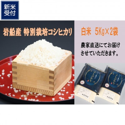 【新米受付・令和8年産米】新潟県村上市岩船産 特別栽培米ちょっと贅沢なコシヒカリ 10kg 048N