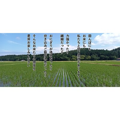 【毎月定期便】食味鑑定士いたがき謹製　新潟県岩船産コシヒカリ　白米5Kg　全6回