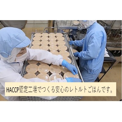 【毎月定期便】新之助 パックご飯 150g×10個入り 全6回