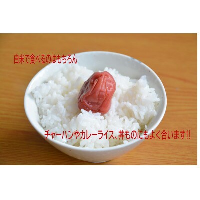 【毎月定期便】ゆきん子舞 白米 5kg 新潟県岩船産 食味鑑定士謹製 一等米 農家直送 全3回