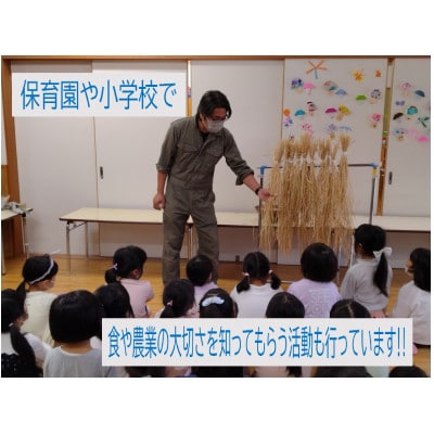 【毎月定期便】ゆきん子舞 白米 5kg 新潟県岩船産 食味鑑定士謹製 一等米 農家直送 全3回
