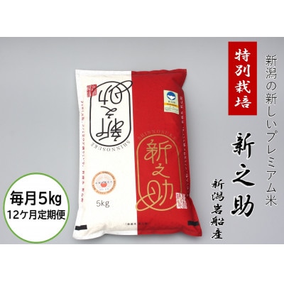【毎月定期便】食味鑑定士いたがき謹製 新潟県岩船産特別栽培「新之助・白米5kg」 全12回