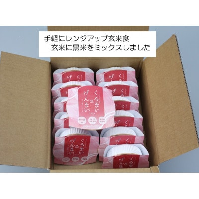 【毎月定期便】くろまい&げんまい　パックご飯　特別栽培コシヒカリ　12個入り　1039029全12回