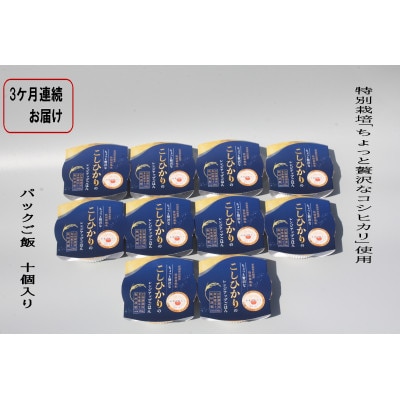 【毎月定期便】新潟県村上市岩船産 コシヒカリパックご飯10個　1039039全3回