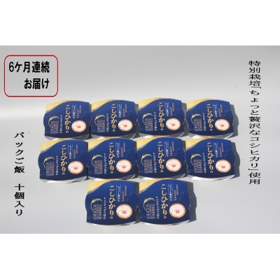 【毎月定期便】新潟県村上市岩船産 コシヒカリパックご飯10個　1039040全6回