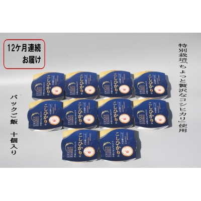【毎月定期便】新潟県村上市岩船産コシヒカリパックご飯10個　1039041全12回