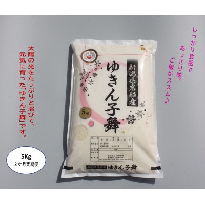 【毎月定期便】新潟県村上市産　ゆきん子舞 白米 5kg×3ヶ月 1039021全3回