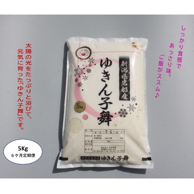 【毎月定期便】新潟県村上市産　ゆきん子舞 白米 5kg×6ヶ月 1039022全6回