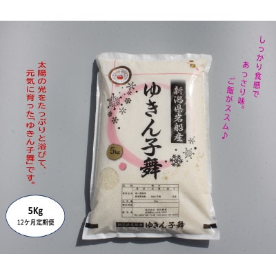 【毎月定期便】新潟県村上市産　ゆきん子舞白米5kg×12ヶ月 1039058全12回