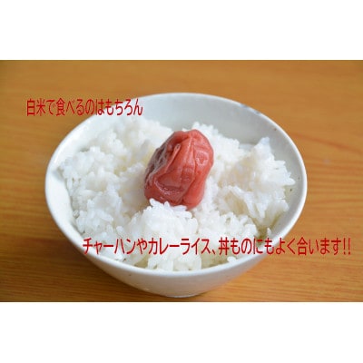 【毎月定期便】新潟県村上市産　ゆきん子舞白米5kg×12ヶ月 1039058全12回
