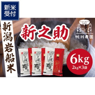 【新米受付・令和8年産米】新潟県村上市産　新之助6kg NA4100