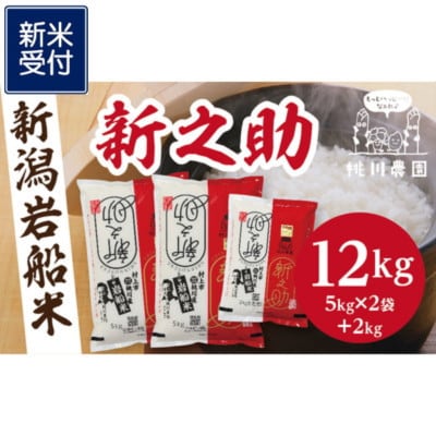【新米受付・令和8年産米】新潟県村上市産　新之助12kg NB4073