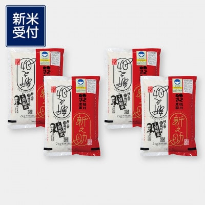 【新米受付・令和8年産米】【精米即日発送】村上市桃川産 特別栽培米 新之助8kg NAB4037
