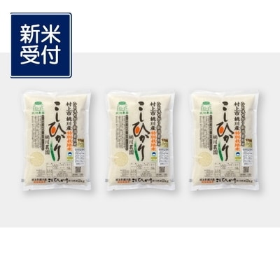 【新米受付・令和7年産米】【精米即日発送】新潟県村上市桃川産 特別栽培コシヒカリ6kg NA4209