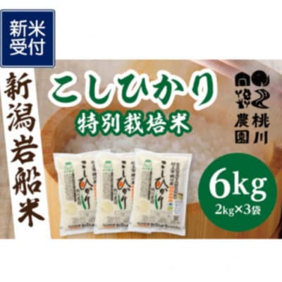 【新米受付・令和8年産米】【精米即日発送】新潟県村上市桃川産 特別栽培コシヒカリ6kg NA4209