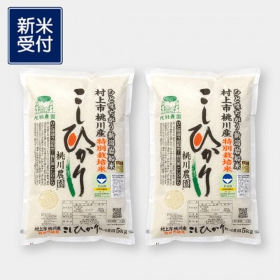 【新米受付・令和8年産米】精米即日発送 新潟県村上市桃川産特別栽培コシヒカリ10kg NAB4038