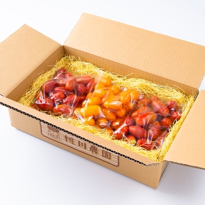 【数量限定】　村上市産 フルーツミニトマト1.5kg～サクランボのような食感～
