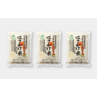 【令和5年産米】新潟県村上市桃川産 特選コシヒカリ はさがけ米 精米 6kg