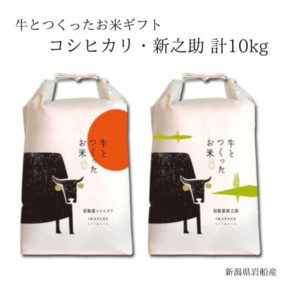 新米【令和7年産米】牛とつくったお米　 新潟県岩船産コシヒカリ5kg・新之助5kg　1041006