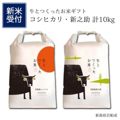 【新米受付・令和7年産米】牛とつくったお米新潟県村上市岩船産コシヒカリ5kg・新之助 5kg 精米
