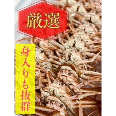 【期間限定】本ズワイガニ雄ガニ、女ガニセット計2.6kg E4026