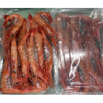 「南蛮エビ(甘エビ)」650g 新鮮!県北寝屋漁港直送! 1043005