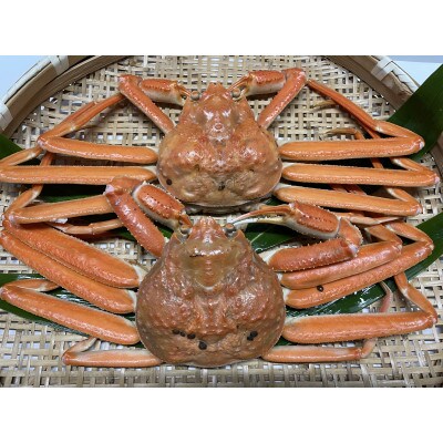【訳あり】浜茹で本ズワイガニ　足欠「雄ガニ　2杯(約600g)」 1043006