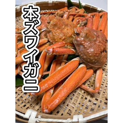 【訳あり】浜茹で本ズワイガニ　足欠「雄ガニ　3杯(約900g)」1043007