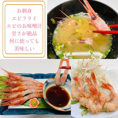 【さとふる限定】【数量限定】南蛮エビ(甘エビ)約1.3kg 新鮮!県北寝屋漁港直送!