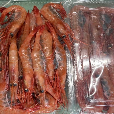 【さとふる限定】【数量限定】南蛮エビ(甘エビ)約1.3kg 新鮮!県北寝屋漁港直送!