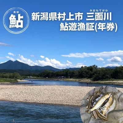 【2026年シーズン用】新潟県村上市「三面川(みおもてがわ)」鮎遊漁証 アユ あゆ 1044001