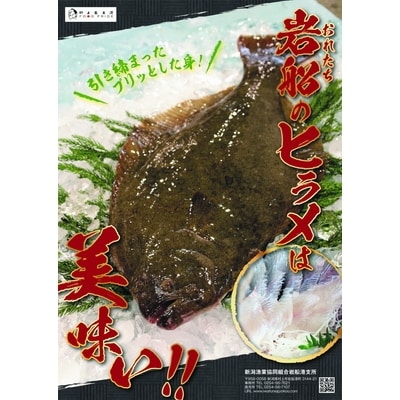活け越し神経締めで白く輝く「白皇鮃(はくおうひらめ)」刺身セット A4028