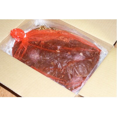 【数量限定】天然活きモクズガニ 約1kg(6～10匹、オス・メス混合)ネットに入れてお届け